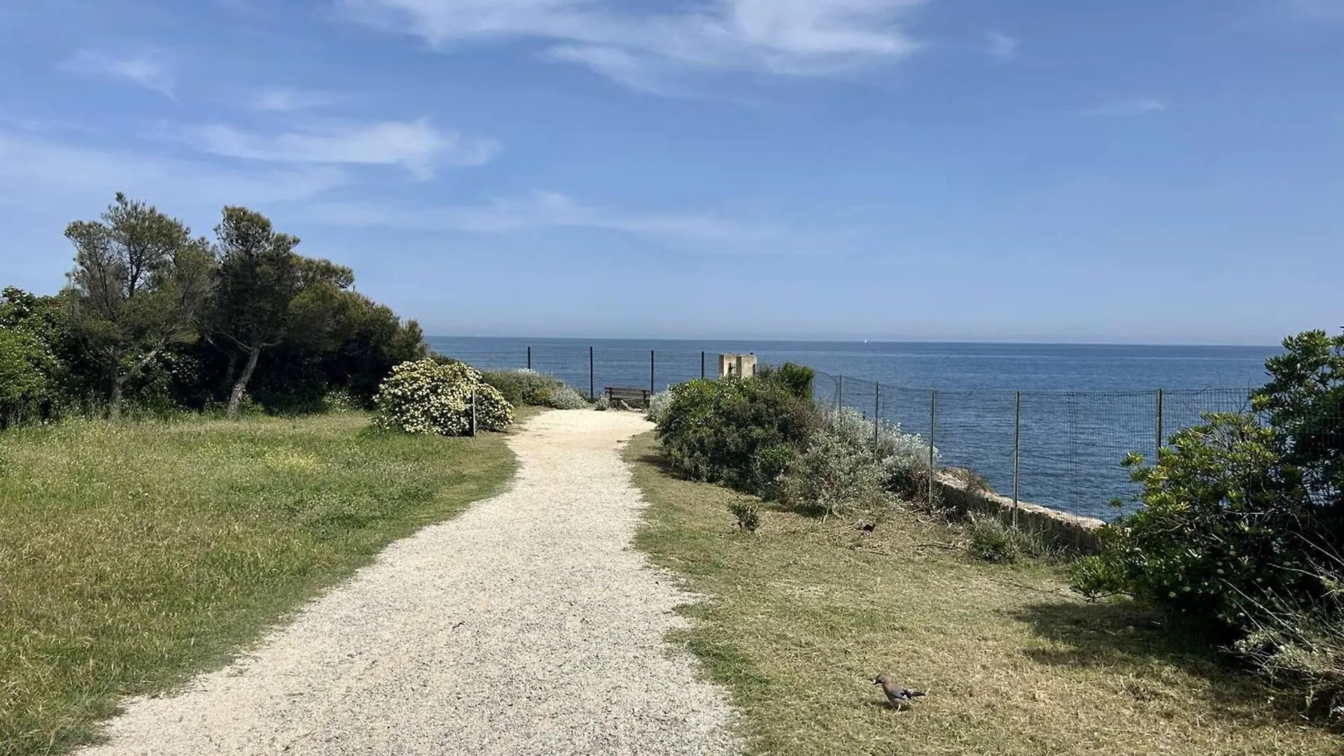Studio Mezzanine A Saint-Aygulf, Proche Plage Et Commerces - Fr-1-226A-207 Fréjus